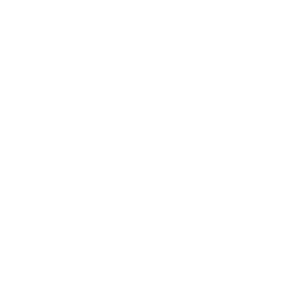 Call icon